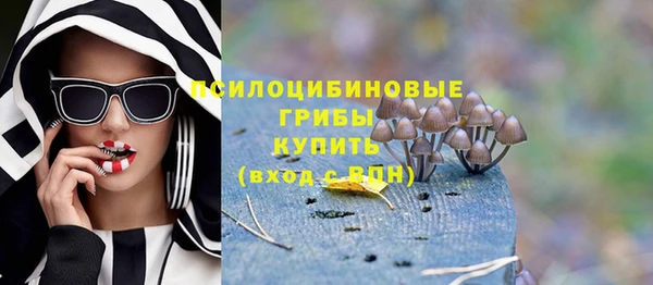 СК Киреевск
