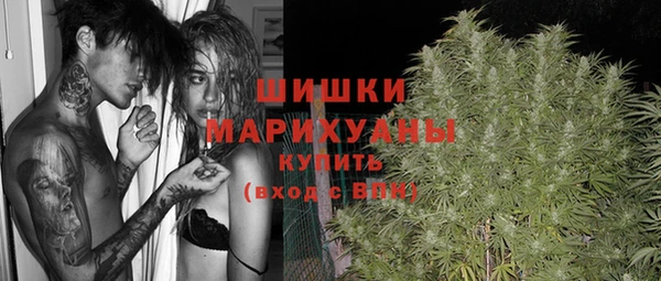 меф Кинешма